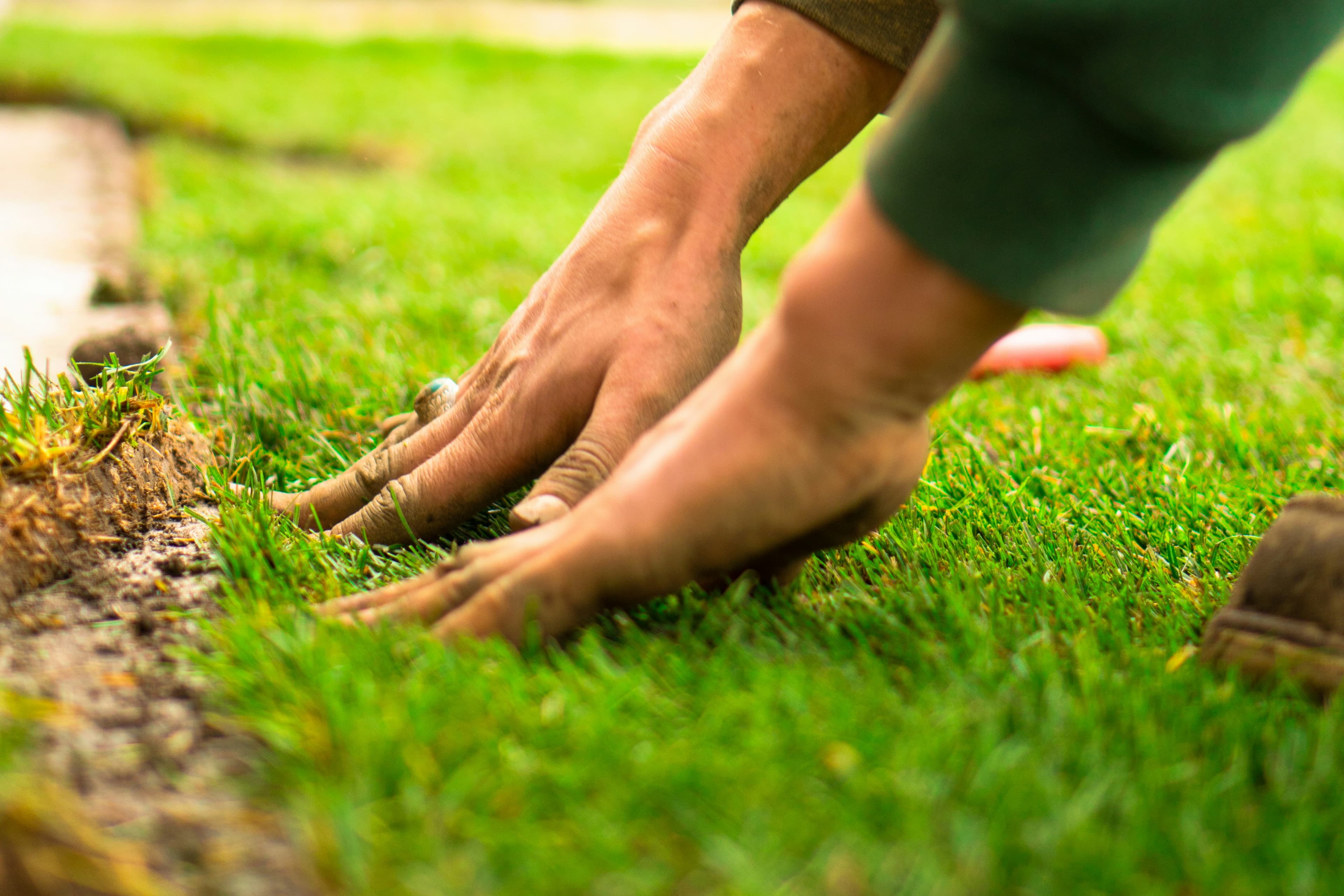 Sod Installation & Lawn Care