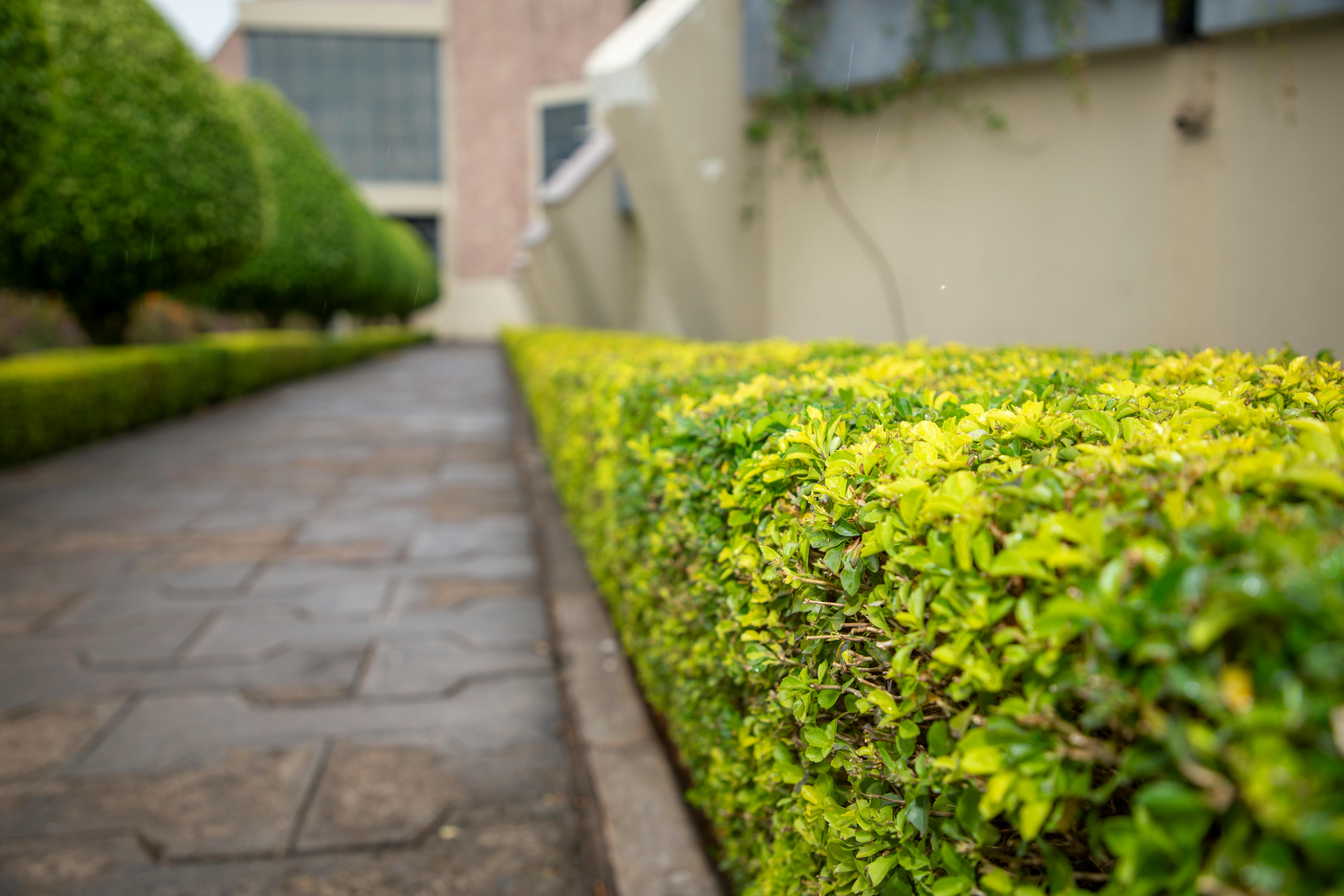 Full Property Maintenance