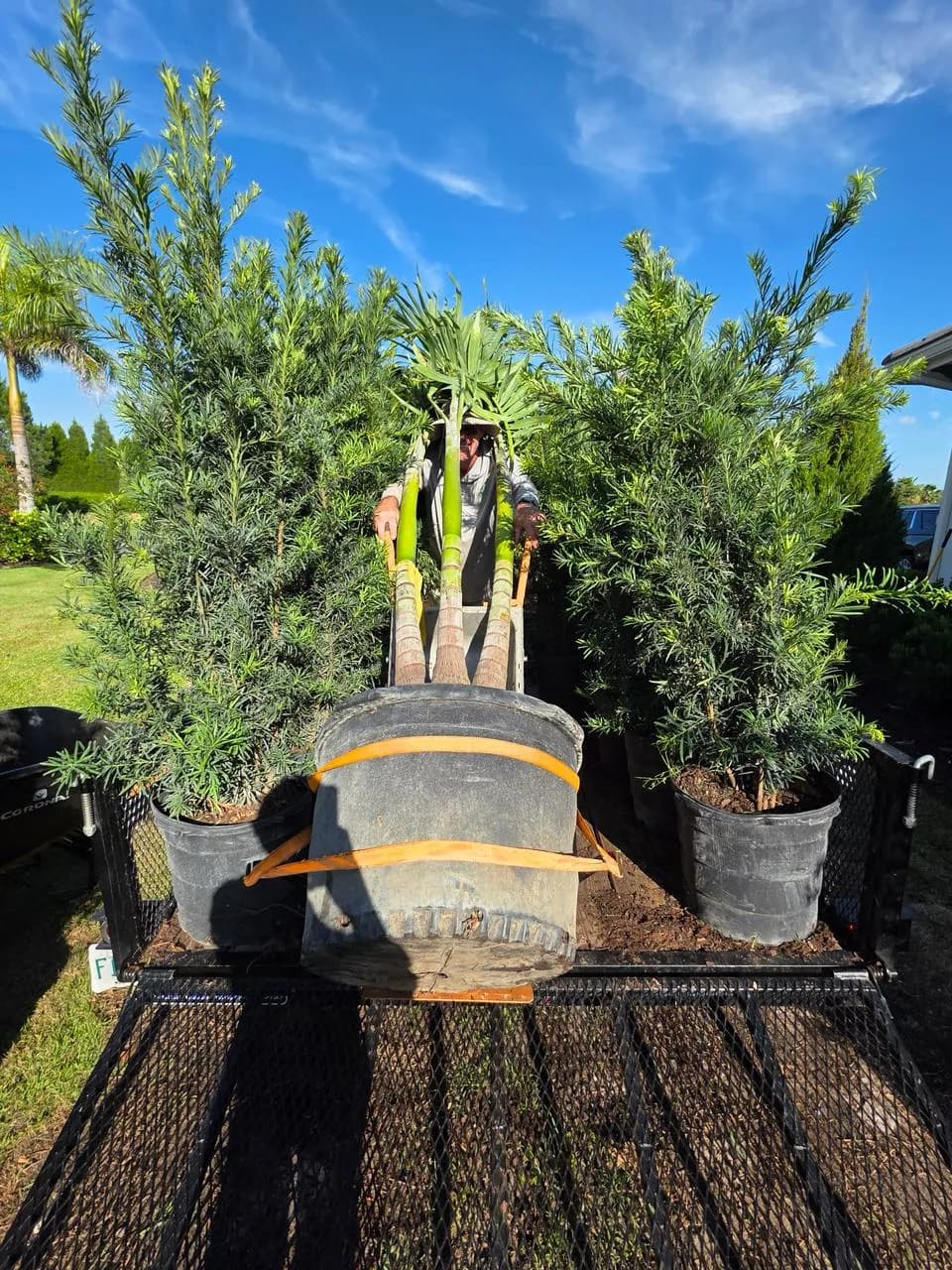 Plant Delivery & Install Prep