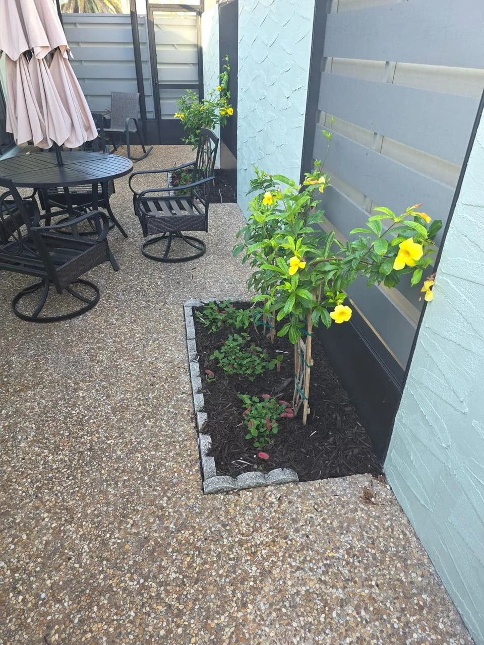 Patio Color Planting